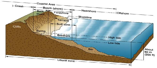 Sebuah grafis dari zona litoral