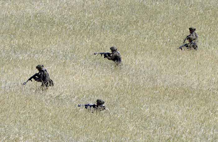 Multinational soldiers cut through the foliage.