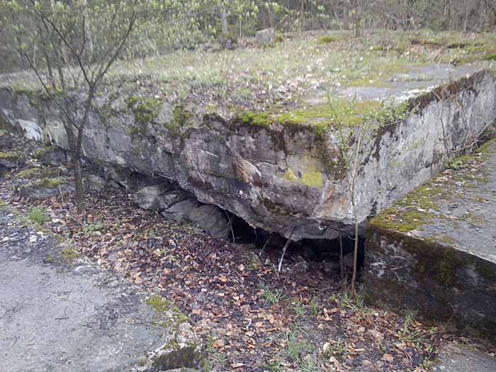 Bunker Nazi yang semula diduga untuk menyimpan harta karun Amber Room