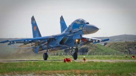 Su-27 Kazakhstan Jatuh, 25 Flanker Di-grounded