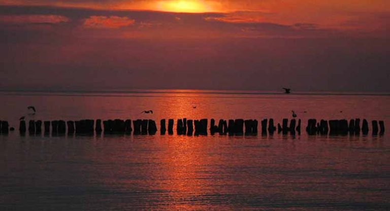 Dari Kapal Selam, Sampanye Hingga UFO Ditemukan di Laut Baltik