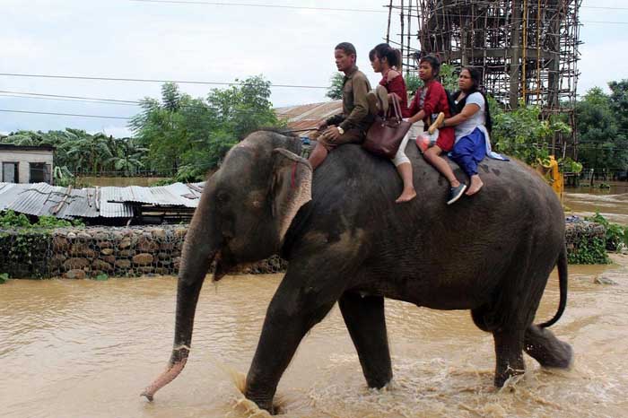 Pasukan Gajah Nepal Selamatkan Ratusan Turis