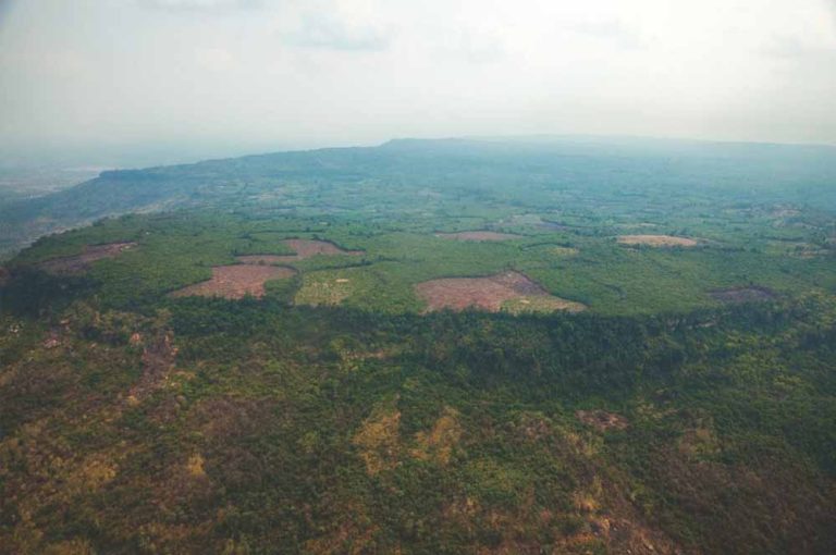 Ratusan Tahun Dicari, Kota Kuno Ini Akhirnya Ditemukan di Tengah Hutan Kamboja