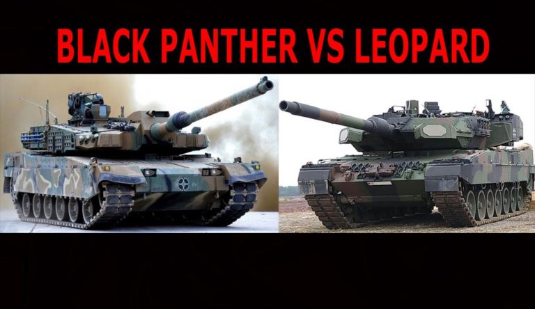 Black Panther dan Leopard Bertarung di Norwegia