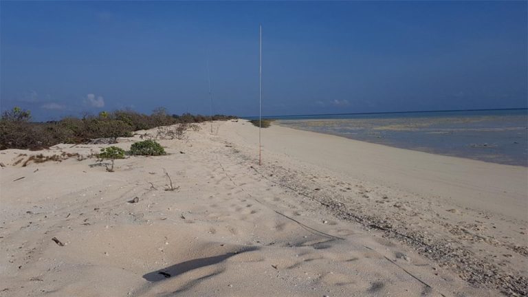 Sejarah Pulau Pasir dan Kenapa Bisa Jadi Milik Australia